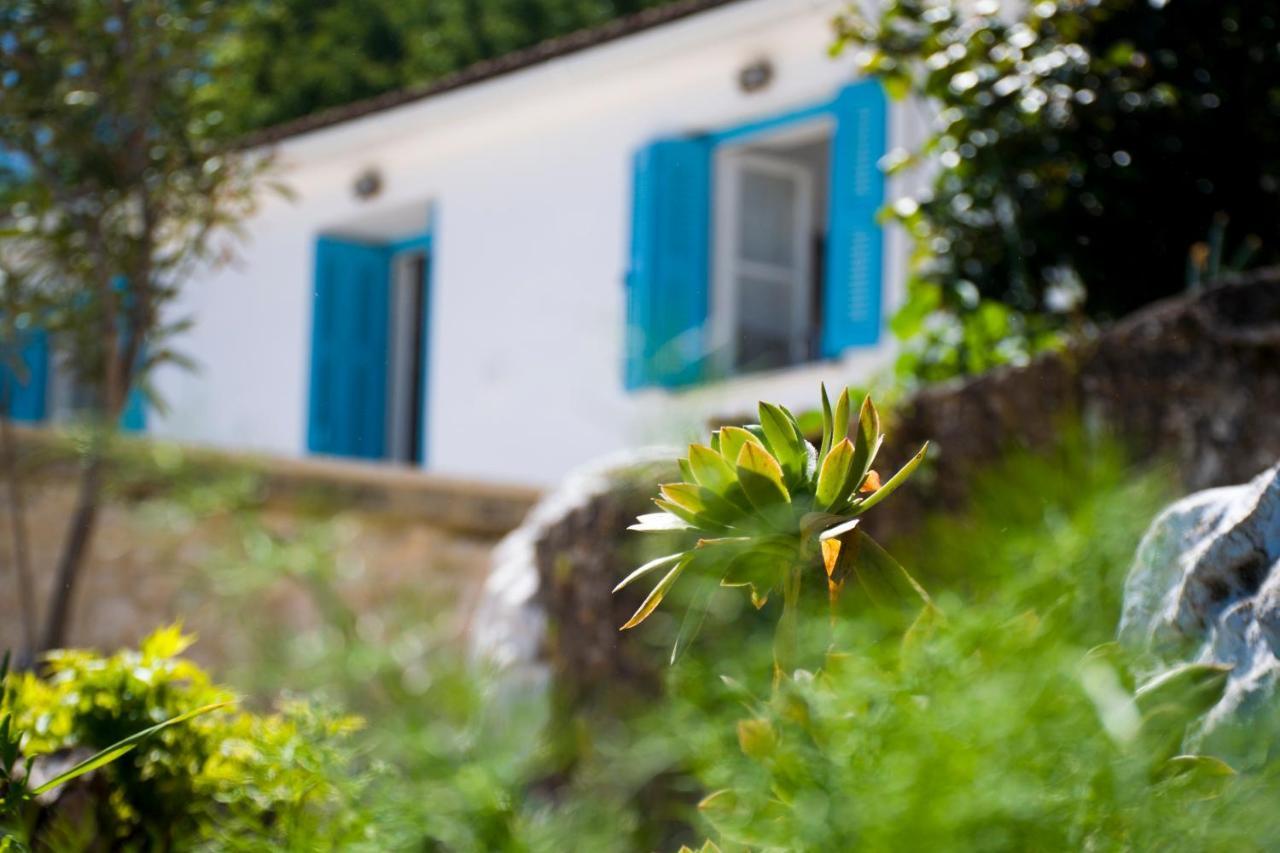 The Olive Cottage - Ithacaバティ エクステリア 写真
